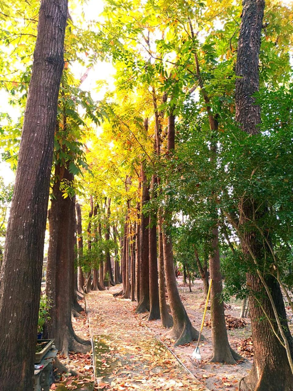 Meinong Yun Shanju Homestay Mei-nung Exteriér fotografie