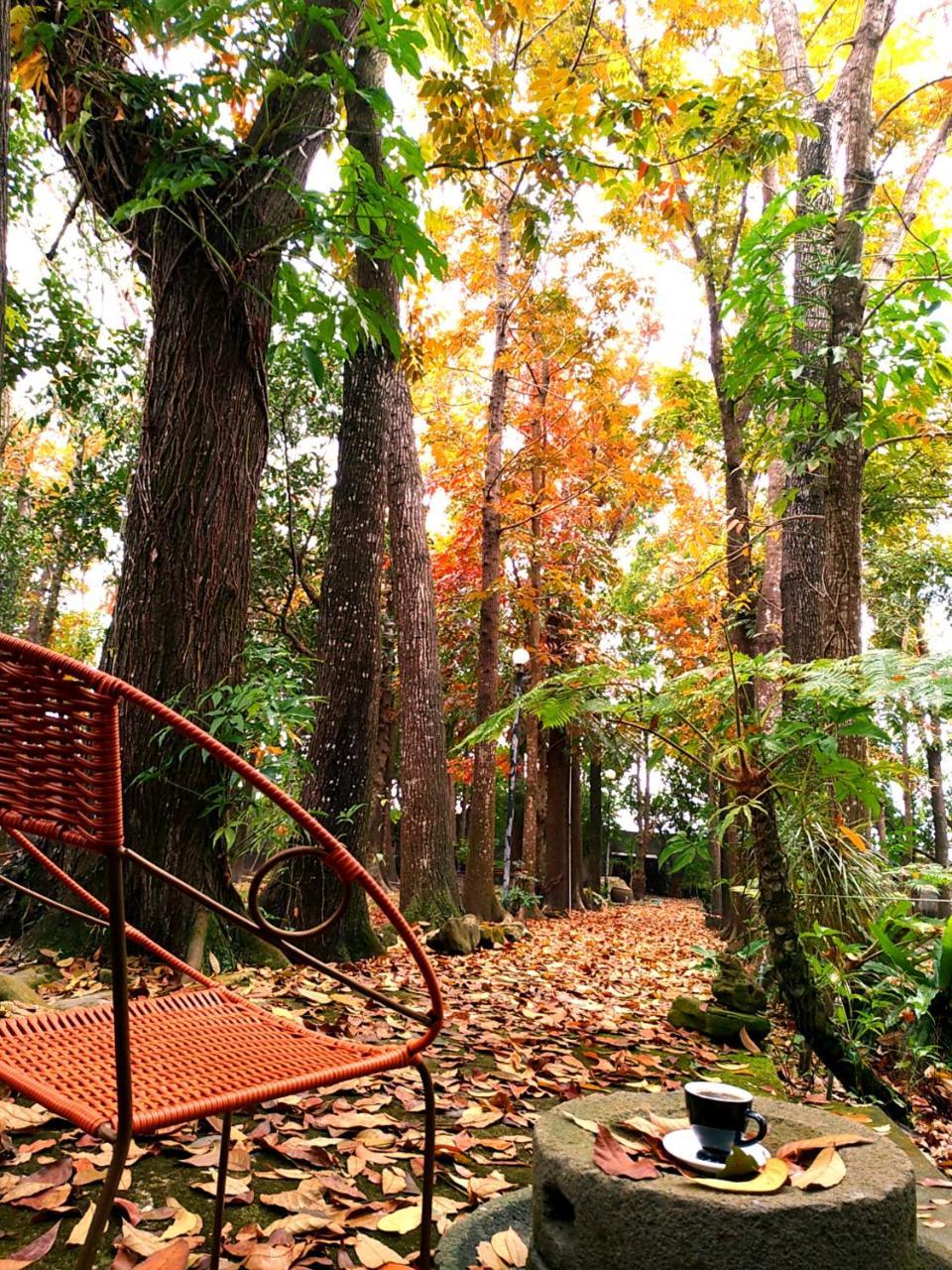 Meinong Yun Shanju Homestay Mei-nung Exteriér fotografie